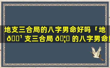 地支三合局的八字男命好吗「地 🌹 支三合局 🦟 的八字男命好吗还是女命」